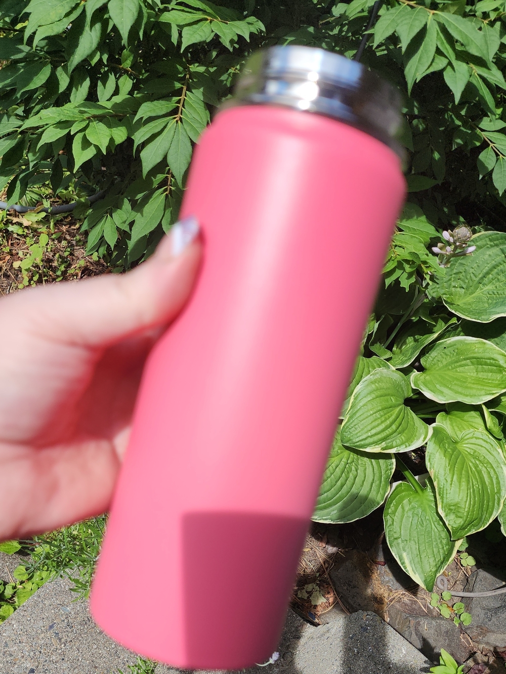 16 Oz Pink Stainless Insulated Water Bottle